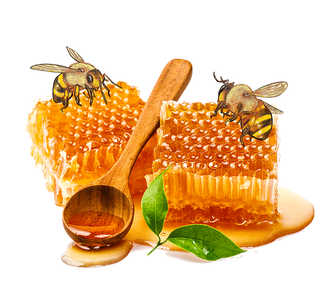 Original Honeycomb